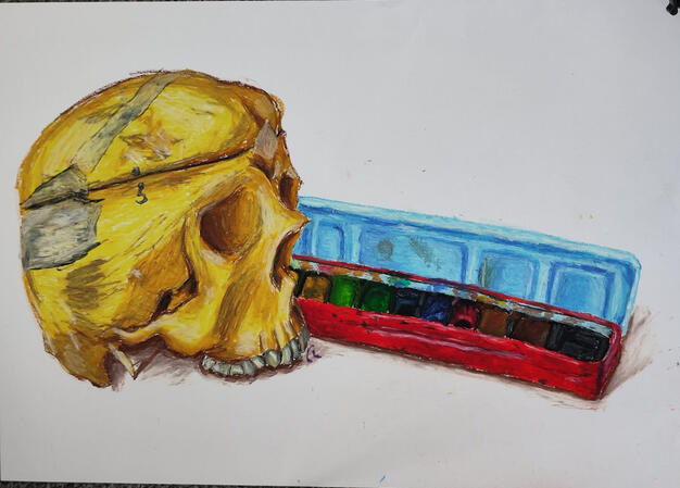 study of a skull and palette